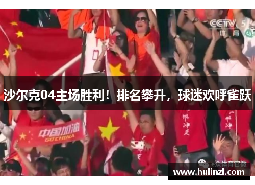 沙尔克04主场胜利！排名攀升，球迷欢呼雀跃